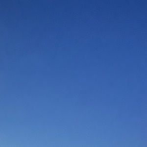 Meet your Posher, Mia